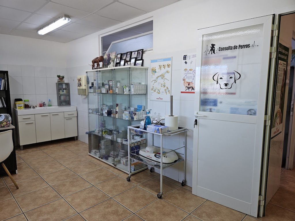 Clinica Veterinaria Ses Paises - Eivissa — Del propietario