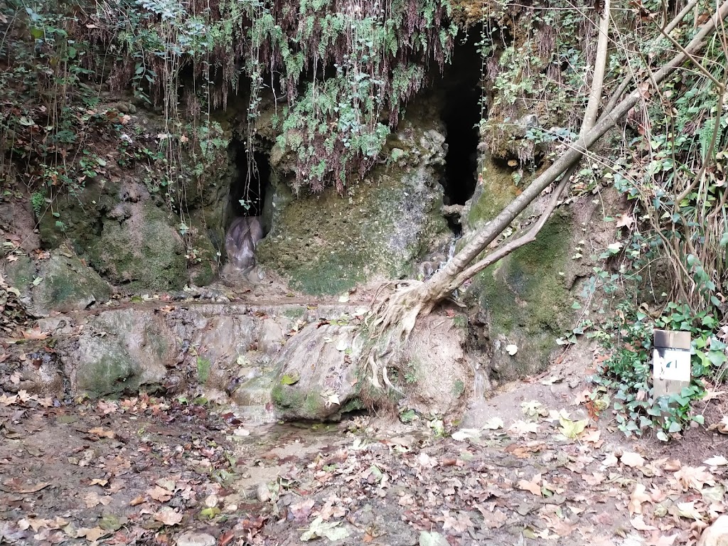 Font de la Tosca i Degotalls