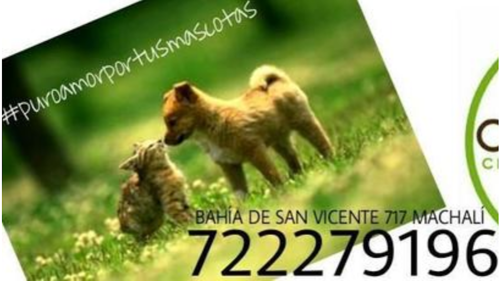 Más recientes