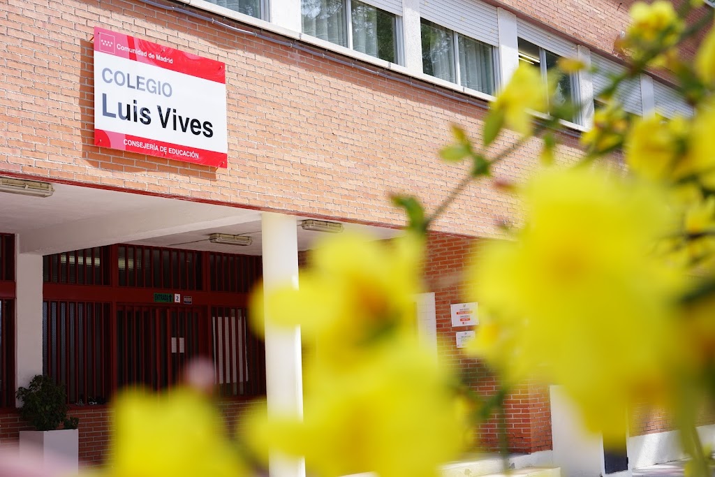 CEIP Luis Vives — Del propietario