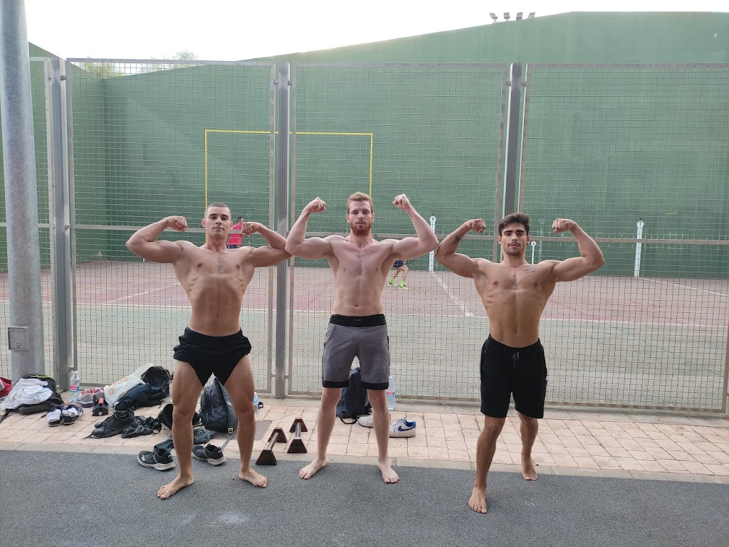 Parque de Calistenia Aldaya