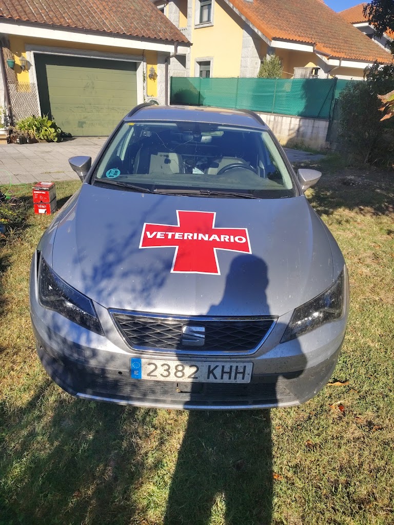 VETERINARIO Miguel Simon Fernandez