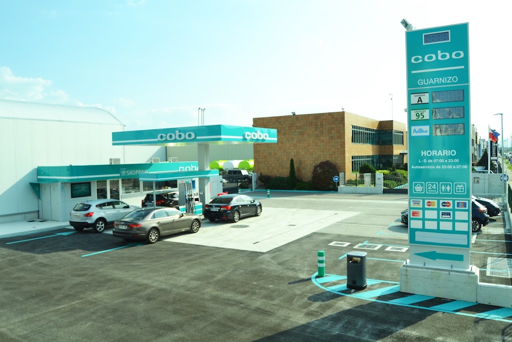 Estacion de Servicio Cobo Guarnizo — Del propietario