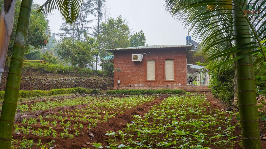 Jungle Valley Agriculture Resort Best Resort In Mahabaleshwar