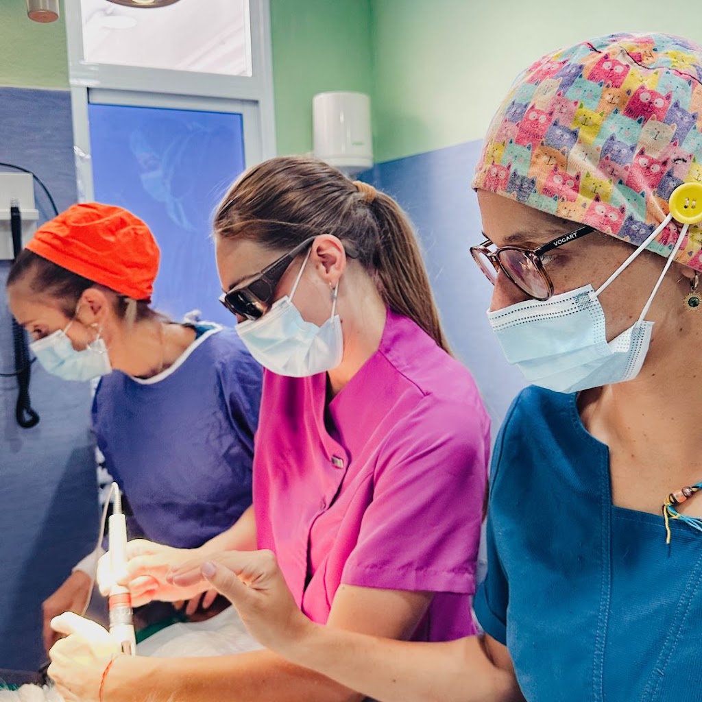 Clinica Veterinaria Anaterve — Del propietario