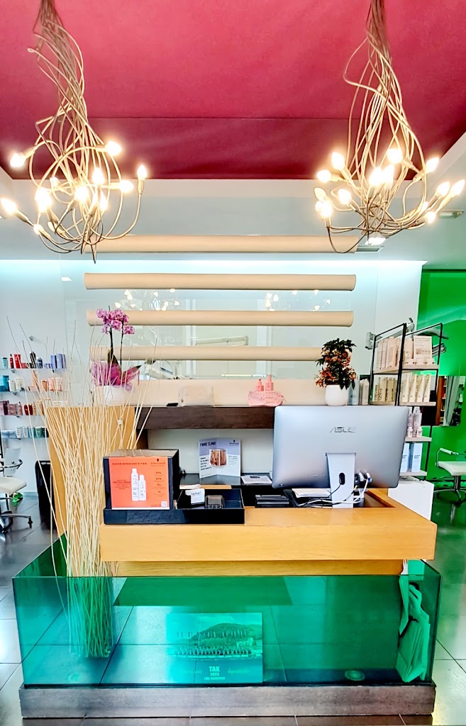 NAIKARI Ileapaindegia - Peluqueria — Del propietario