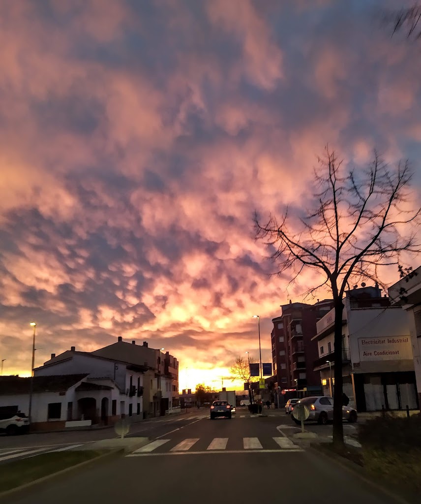 Farmacia Alsius Suner, Esteve