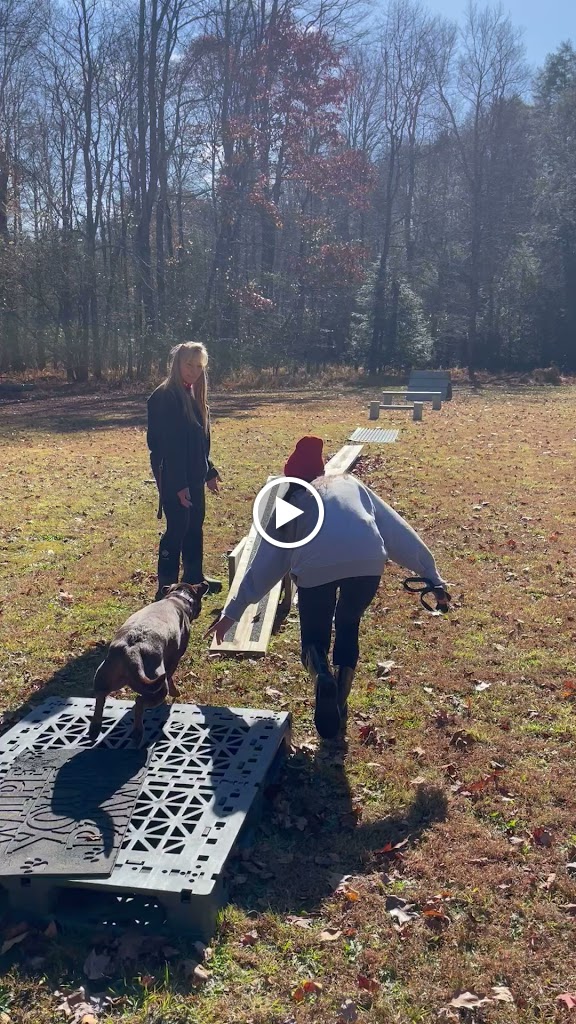  Carla's Dance Gym Center & Mumei Dojo