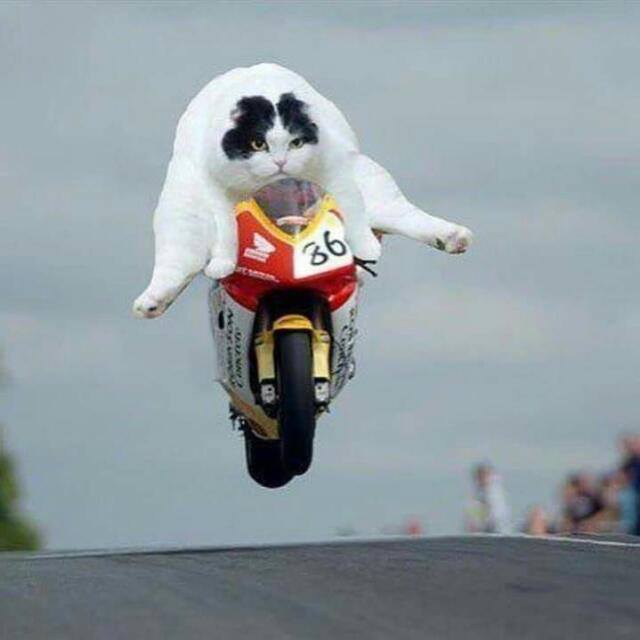 Talleres Sanxenxo - Eurotaller