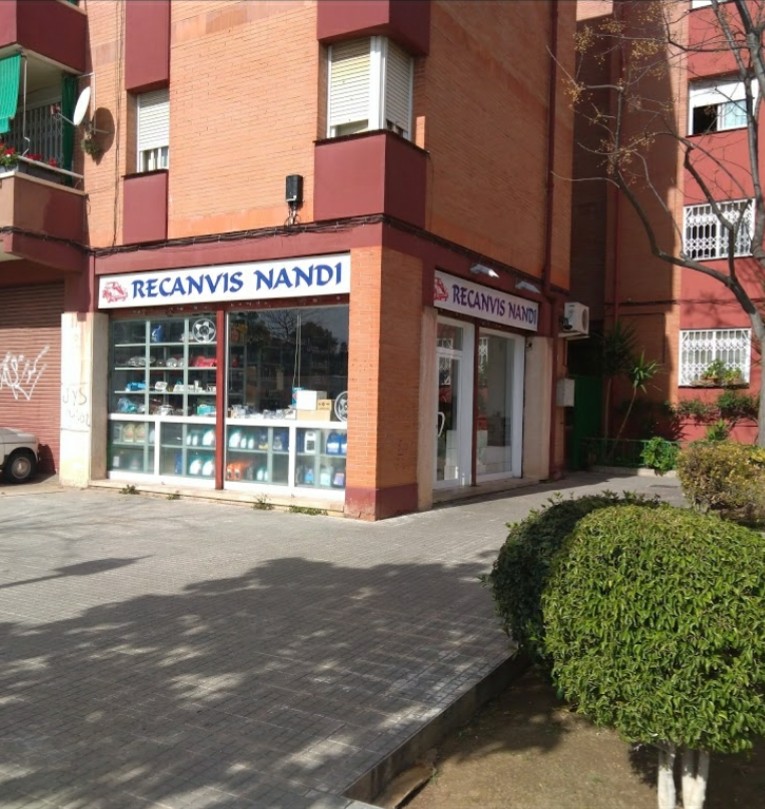 Recanvis Nandi