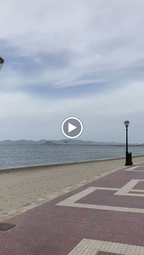 Las charcas — Videos