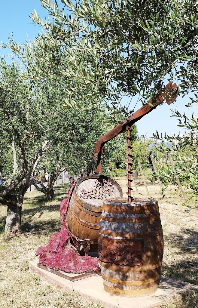Monumento D.O. Pla de Bages