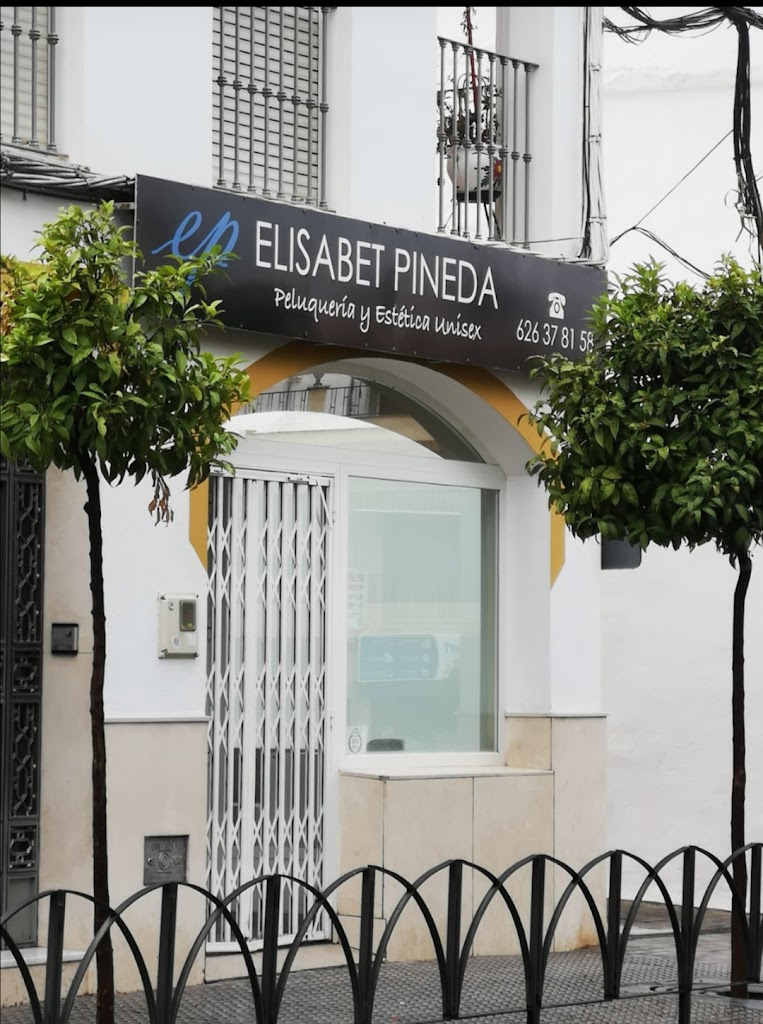 Elisabet Pineda (Peluqueria y Estetica unisex)