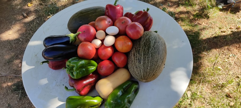 Hortalizas de Valdepenas.