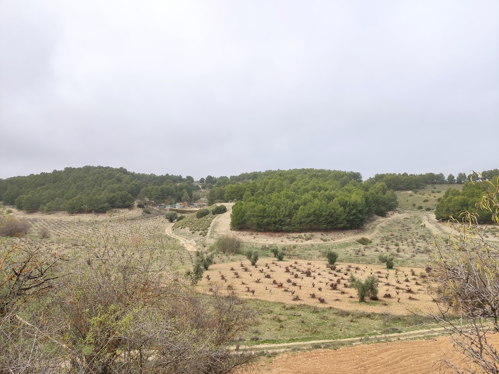 Via verde Arganda Morata