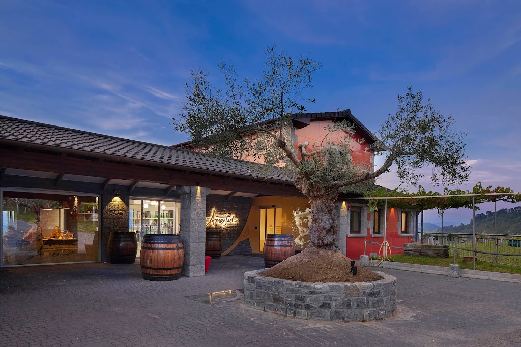 Txakoli Ameztoi Bodega