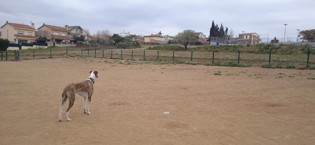 Pipican del Ferrocarril