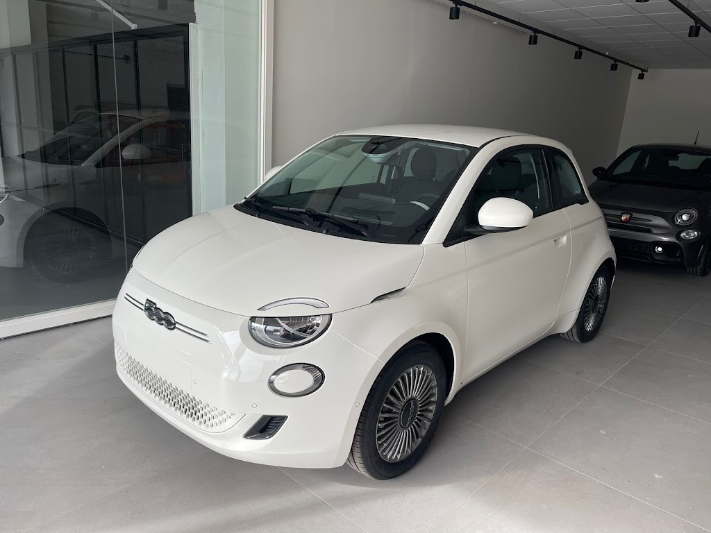 Fiat Dimoauto — Del propietario
