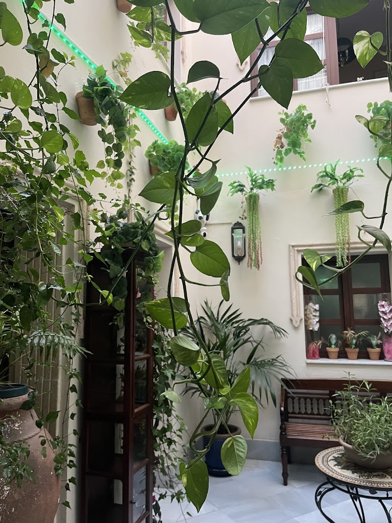 Habitaciones La Flamenka