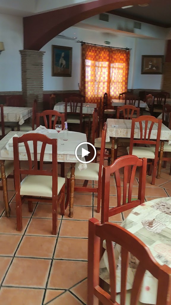 Meson Leo — Videos