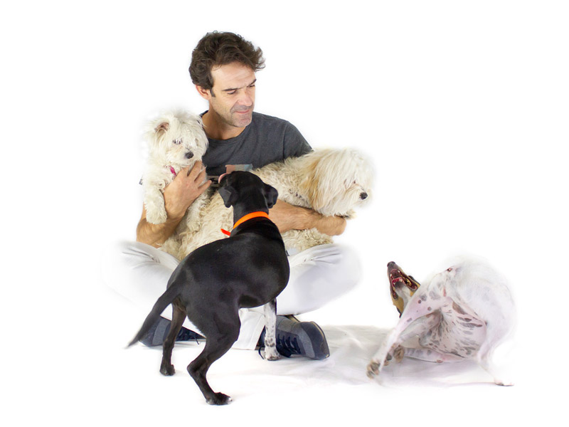 AVALOS CLINICA VETERINARIA