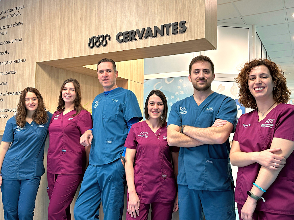 Clinica Veterinaria Cervantes