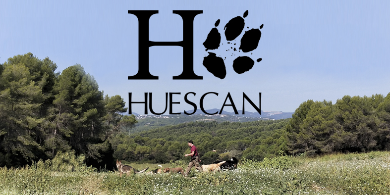 HUESCAN - Adiestrador canino