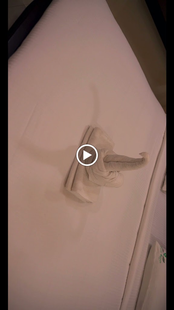 Videos