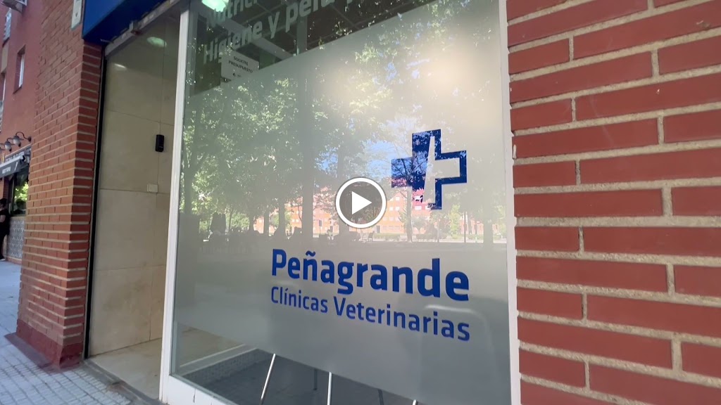 Clinica Veterinaria Getafe Norte (Grupo Penagrande) — Videos
