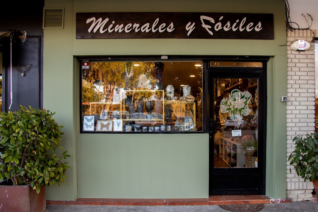 Minerales y Fosiles