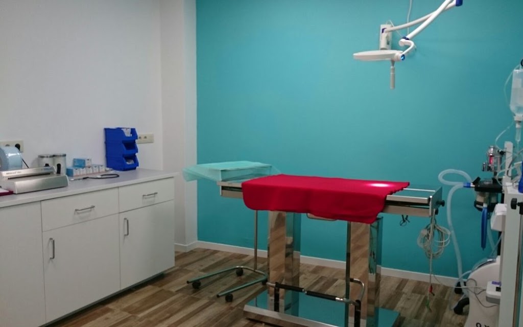Clinica Veterinaria Bichopolis — Del propietario