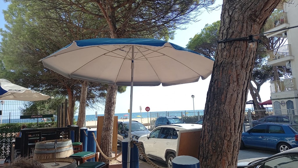 Don Genis Tapas and Pizzas — Ambiente