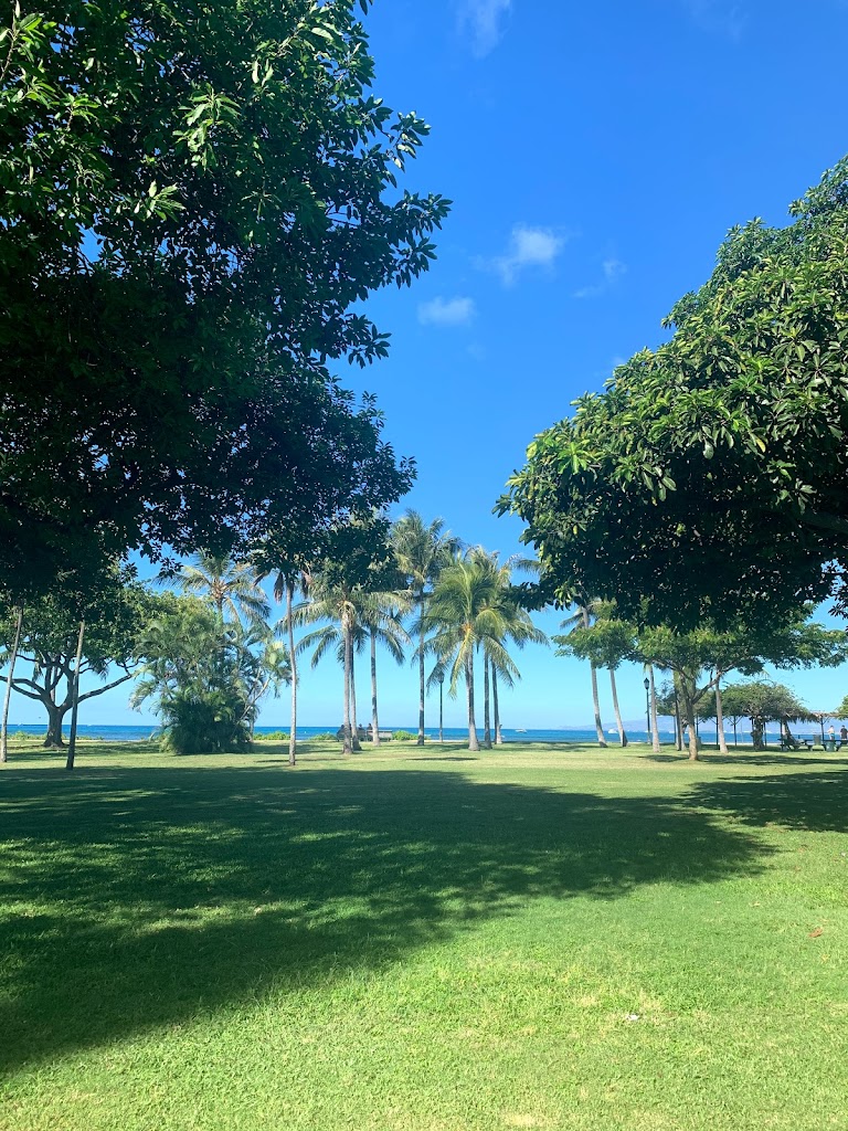  Yoga Under The Palms Waikiki