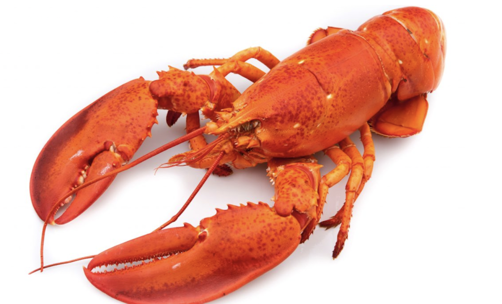SIAN's Lobster & Crab