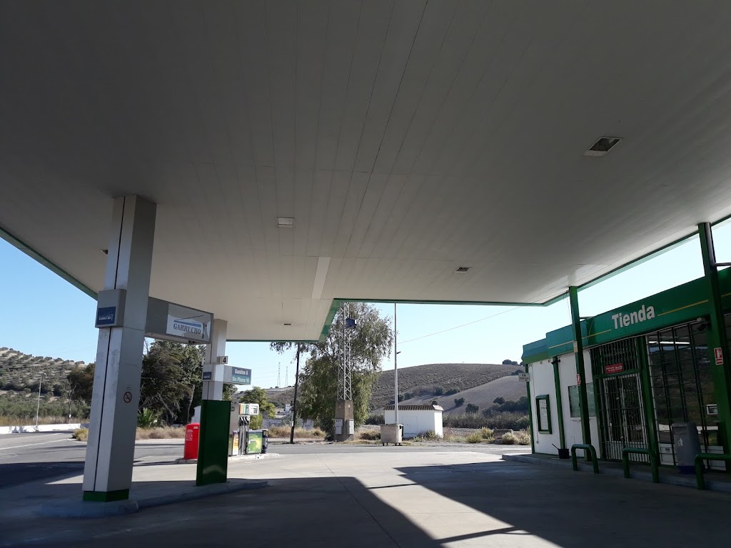 GARRUCHO — Estacion de servicio