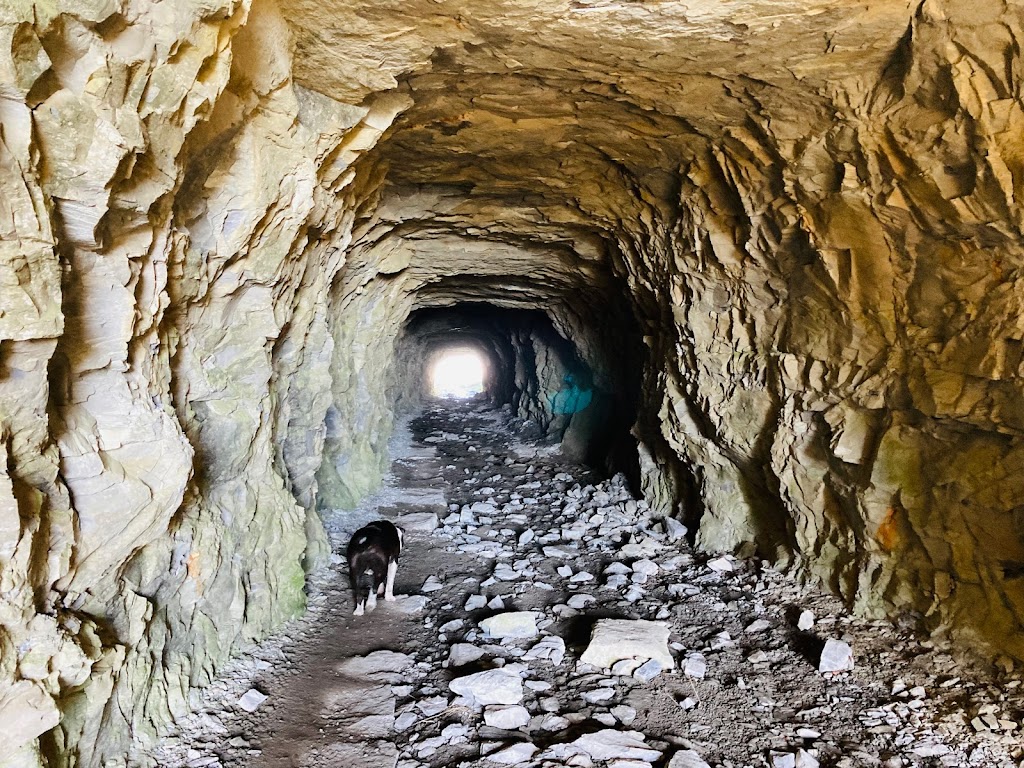 Tunel de la Complacera