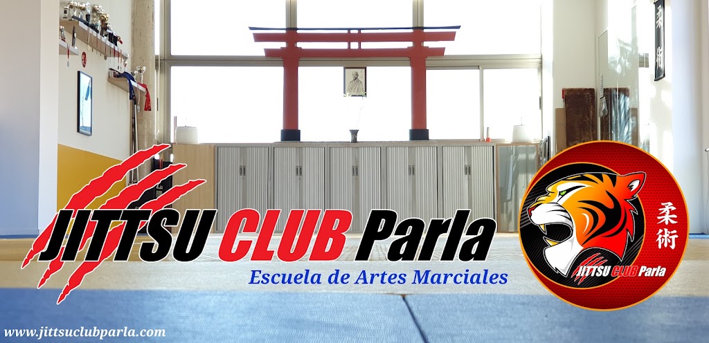 Escuela de Artes Marciales JITTSU CLUB Parla — Del propietario