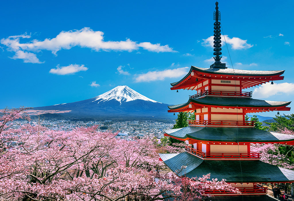 Associacio OKAMI d'Arts Marcials: KOBUDO Taijutsu Buki KRAV MAGA defensa personal JUDO QIGONG Chikung BENESTAR