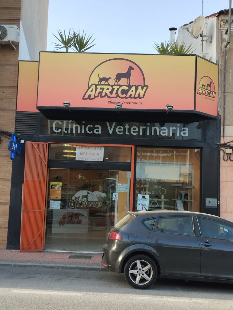 African Clinica Veterinaria