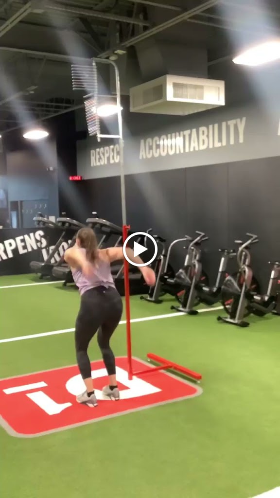  D1 Training Alexandria