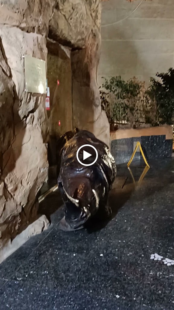 Restaurante Can Ximelis — Videos