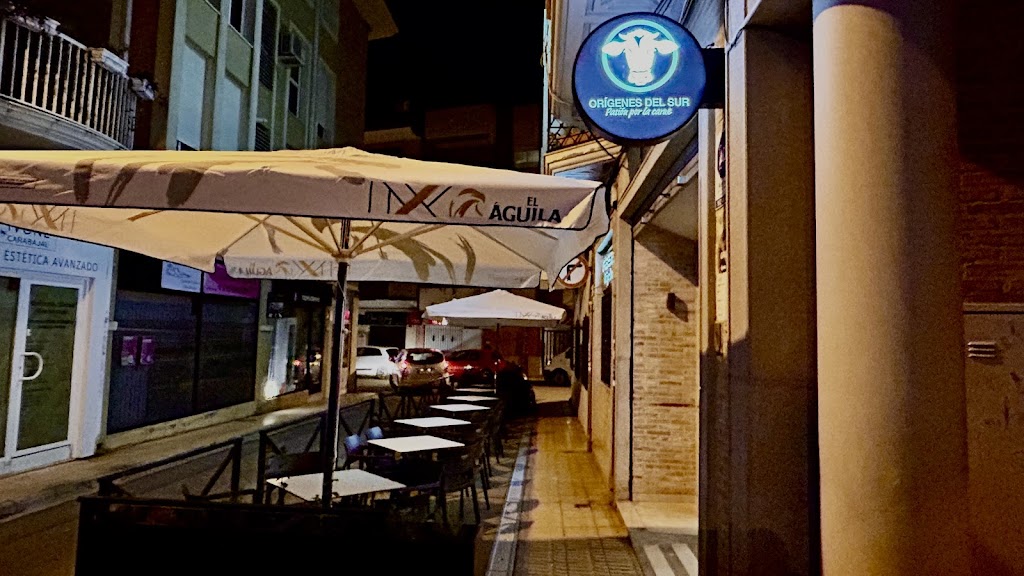 Asador Origenes del Sur