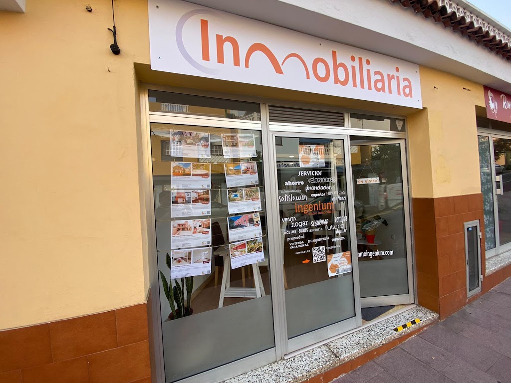 Ingenium Centro Inmobiliario
