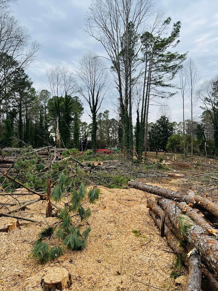 Forestry Mulching