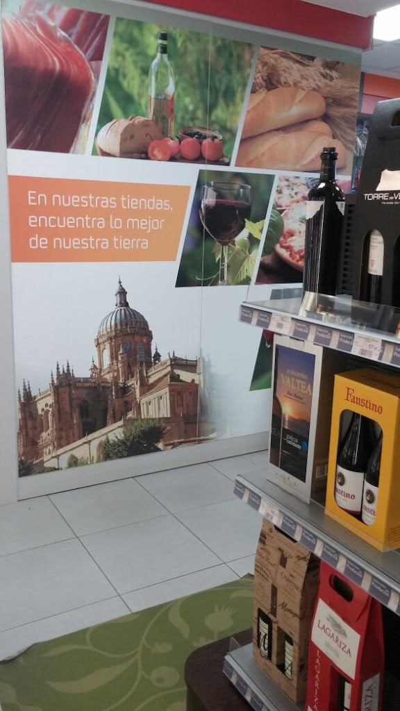 Estacion De Servicio El Helmantico S L