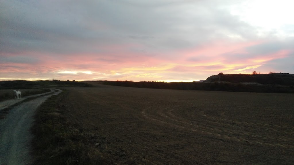 Autosuministres Camions