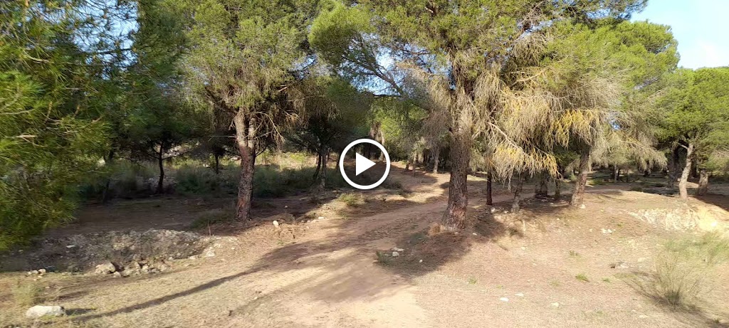 Pinar del Hacho — Videos