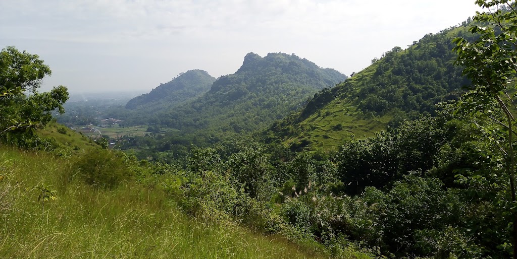 Bumi Perkemahan Ma'arif NU Tulungagung