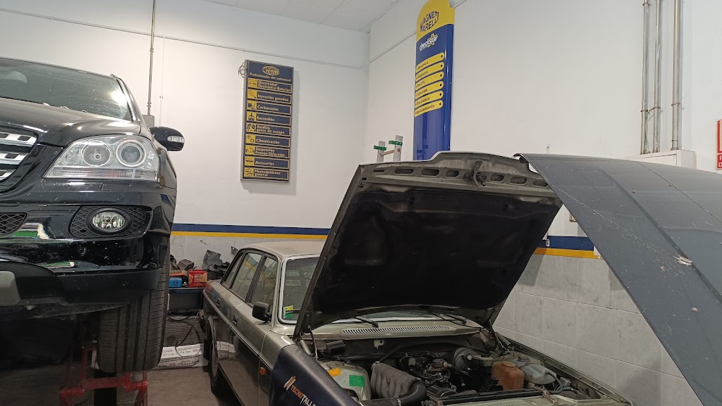 Magneti Marelli Auto Inyeccion y Carburacion