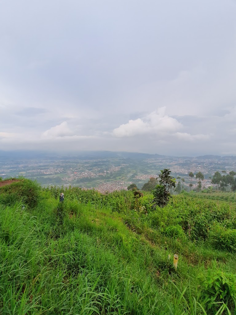 Team Merpati Gunung Putri